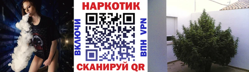 Купить наркоту Светогорск Гашиш  Бутират  Меф  А ПВП  МАРИХУАНА  COCAIN 