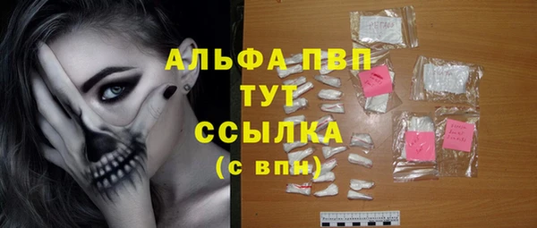 спайс Беломорск